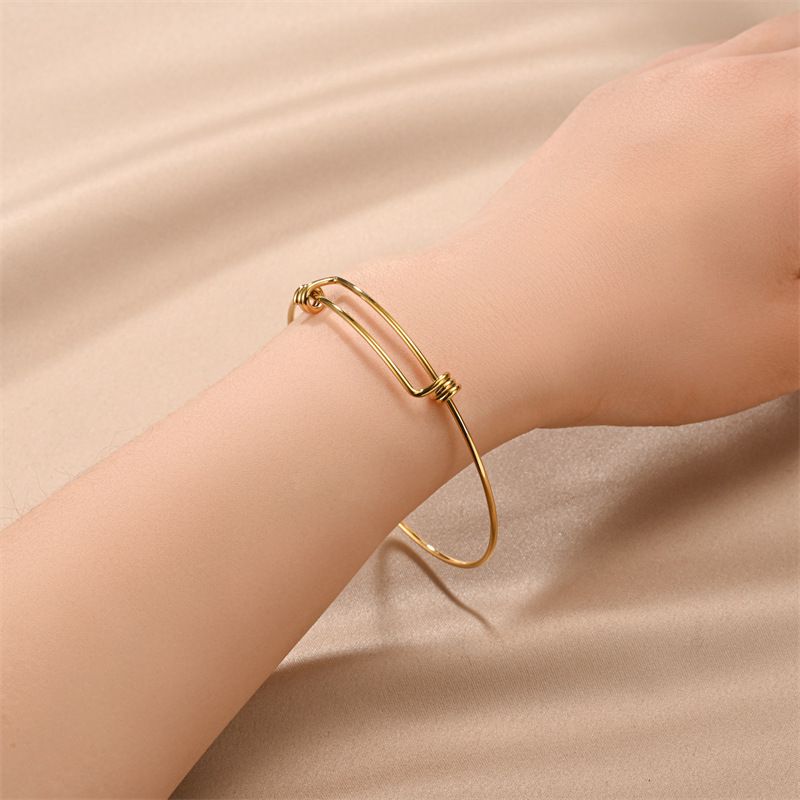 Size adjustable Vegetable Titanium Steel Fashion Bracelet Wholesale | EaseWholesale 1